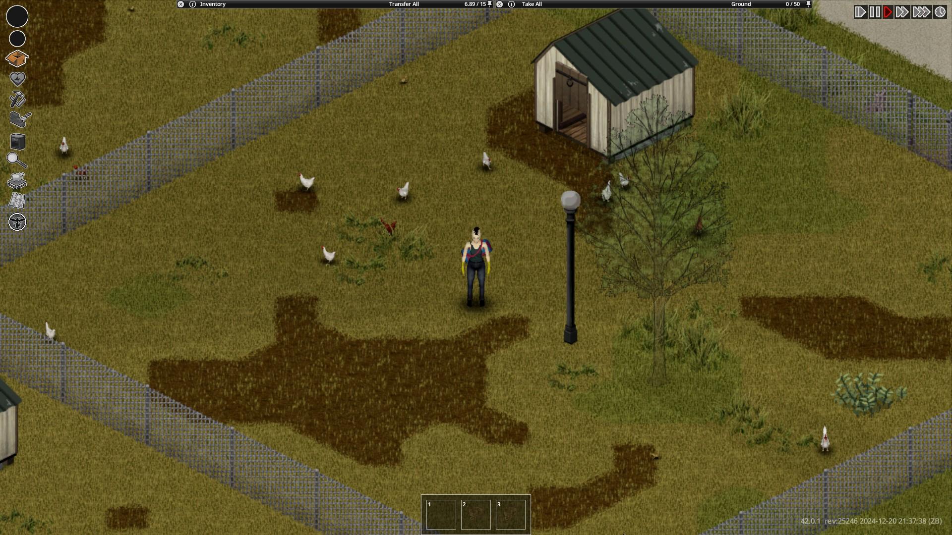 Chickens outside
