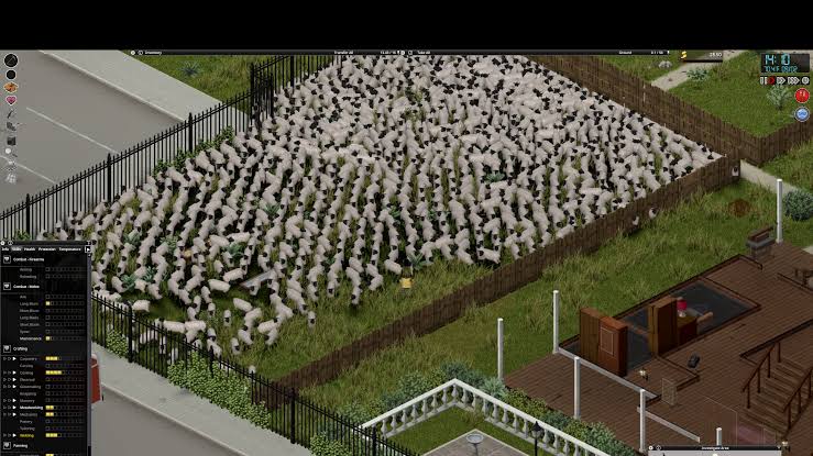 Sheeps